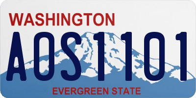 WA license plate AOS1101