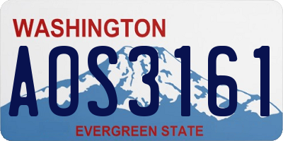 WA license plate AOS3161
