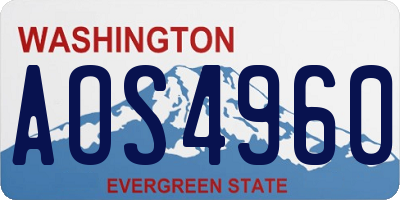 WA license plate AOS4960
