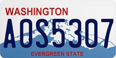 WA license plate AOS5307