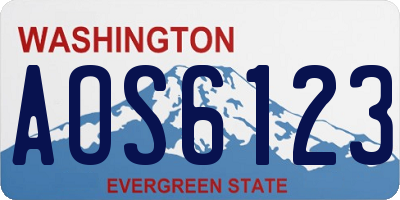 WA license plate AOS6123