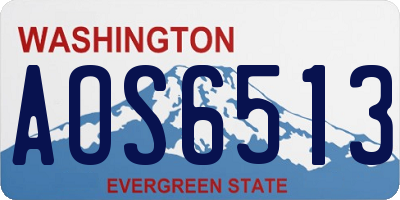WA license plate AOS6513
