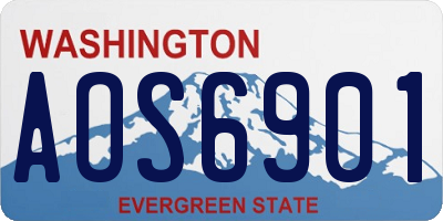 WA license plate AOS6901