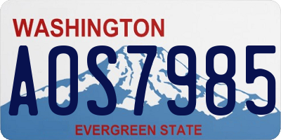 WA license plate AOS7985