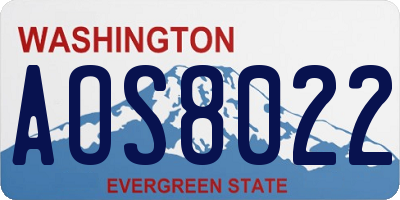 WA license plate AOS8022