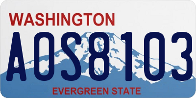 WA license plate AOS8103
