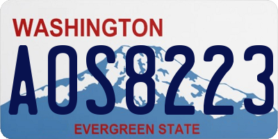 WA license plate AOS8223