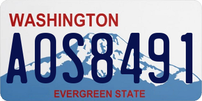 WA license plate AOS8491