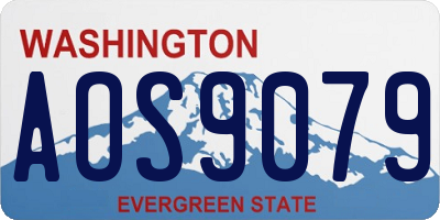 WA license plate AOS9079