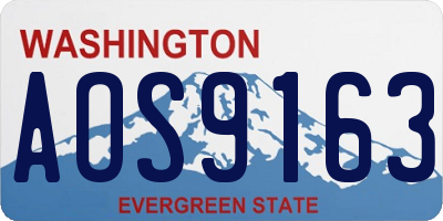 WA license plate AOS9163