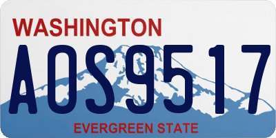 WA license plate AOS9517