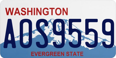 WA license plate AOS9559