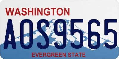 WA license plate AOS9565