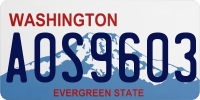 WA license plate AOS9603