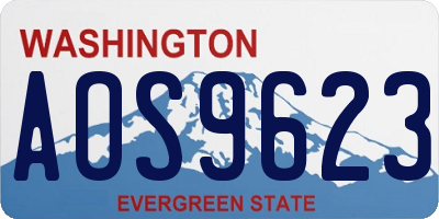 WA license plate AOS9623