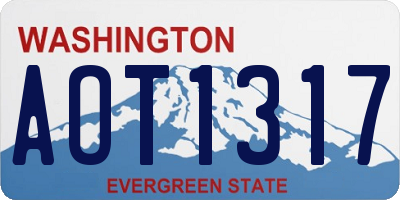 WA license plate AOT1317
