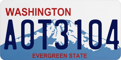 WA license plate AOT3104