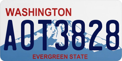 WA license plate AOT3828