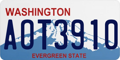WA license plate AOT3910