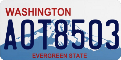 WA license plate AOT8503