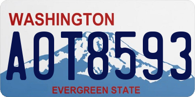 WA license plate AOT8593