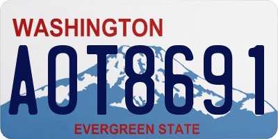 WA license plate AOT8691