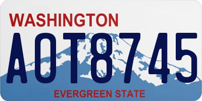 WA license plate AOT8745