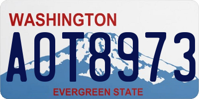 WA license plate AOT8973