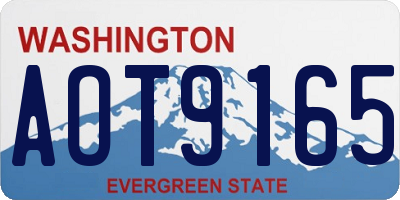 WA license plate AOT9165