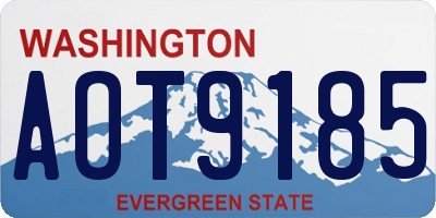 WA license plate AOT9185