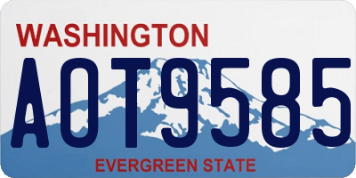 WA license plate AOT9585