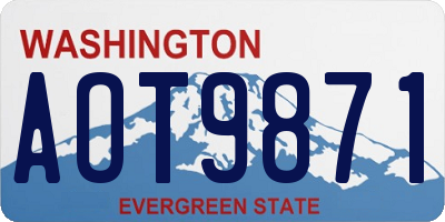WA license plate AOT9871
