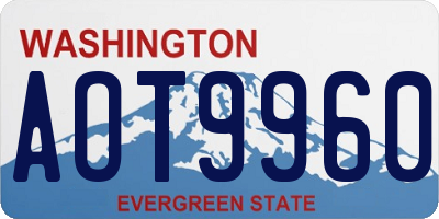 WA license plate AOT9960