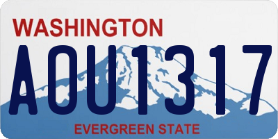 WA license plate AOU1317