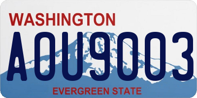 WA license plate AOU9003