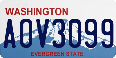 WA license plate AOV3099