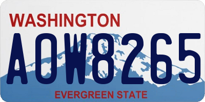 WA license plate AOW8265