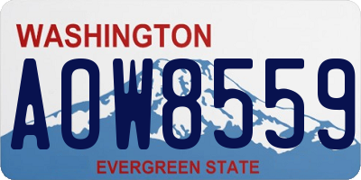 WA license plate AOW8559