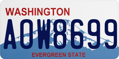 WA license plate AOW8699