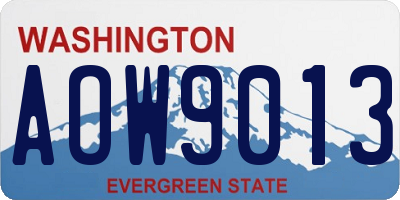 WA license plate AOW9013