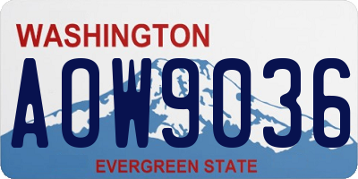 WA license plate AOW9036