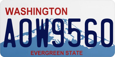 WA license plate AOW9560