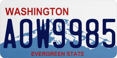 WA license plate AOW9985