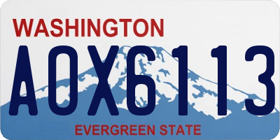 WA license plate AOX6113