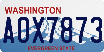 WA license plate AOX7873