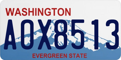 WA license plate AOX8513