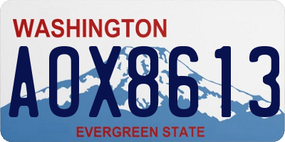 WA license plate AOX8613