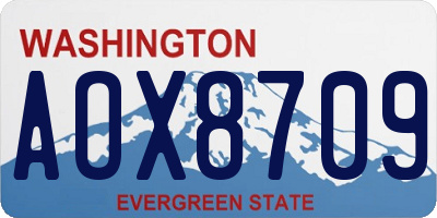 WA license plate AOX8709