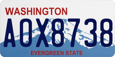 WA license plate AOX8738