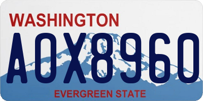 WA license plate AOX8960